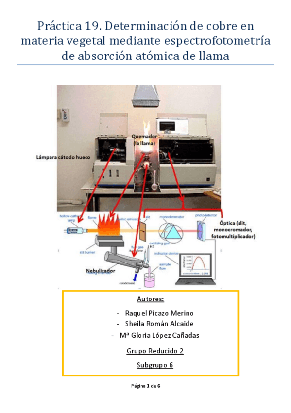 Miniatura del documento Practica-19.pdf