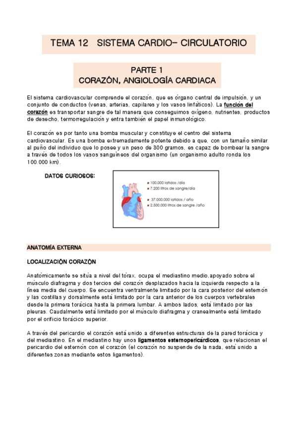 Miniatura del documento TEMA-12-anatomia.pdf