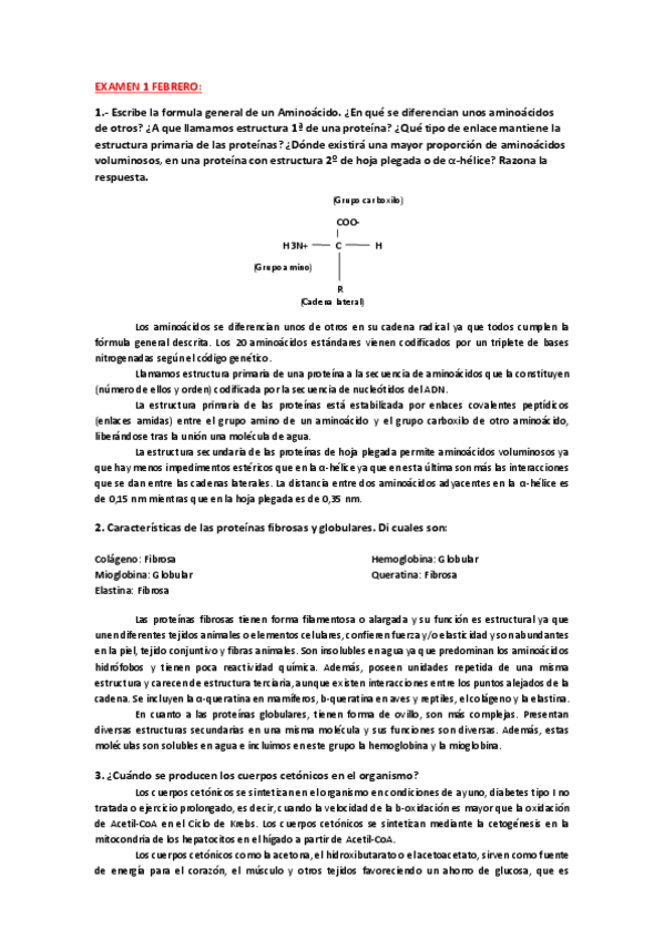 Miniatura del documento wuolah-free-Examenes-bioquimica-1.pdf