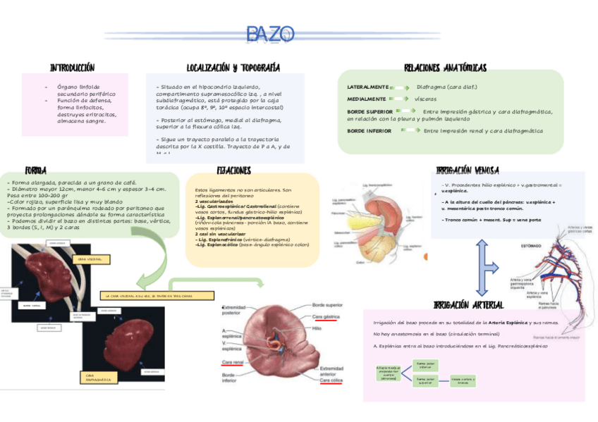 Miniatura del documento BAZO.pdf
