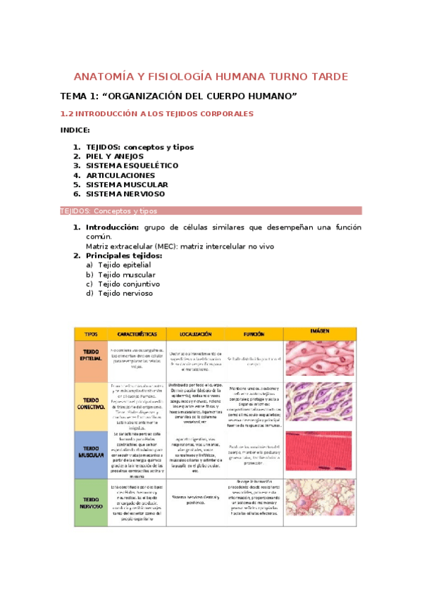 Miniatura del documento anatomia-tarde-tema-1.docx