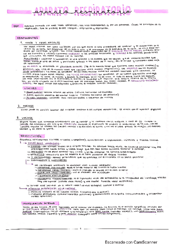 Miniatura del documento Aparato-respiratorio.pdf