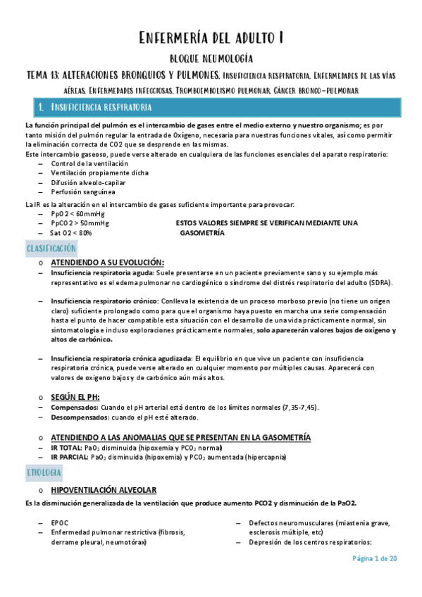 Miniatura del documento Enfermeria-del-adulto-I-TEMA-13.pdf