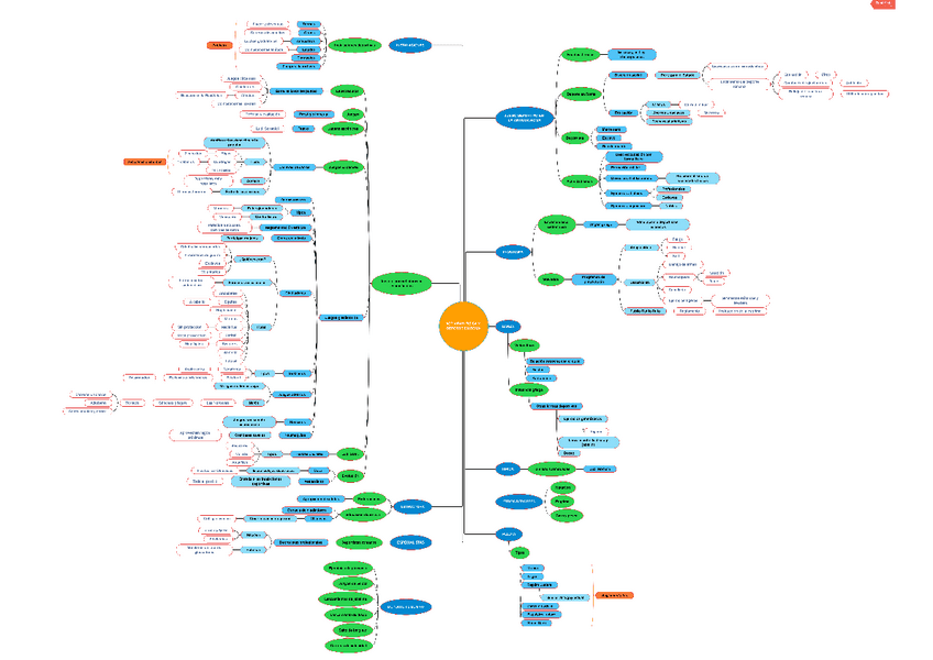 Miniatura del documento Practica-2-Actividad-fisica-y-deporte-en-Roma.pdf