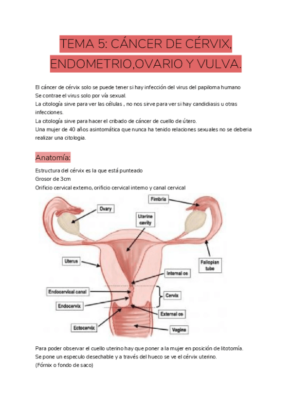 Miniatura del documento TEMA-5-CANCER-DE-CERVIX-ENDOMETRIOOVARIO-Y-VULVA.pdf