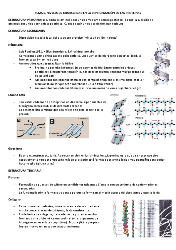 Miniatura del documento TEMA-6.pdf
