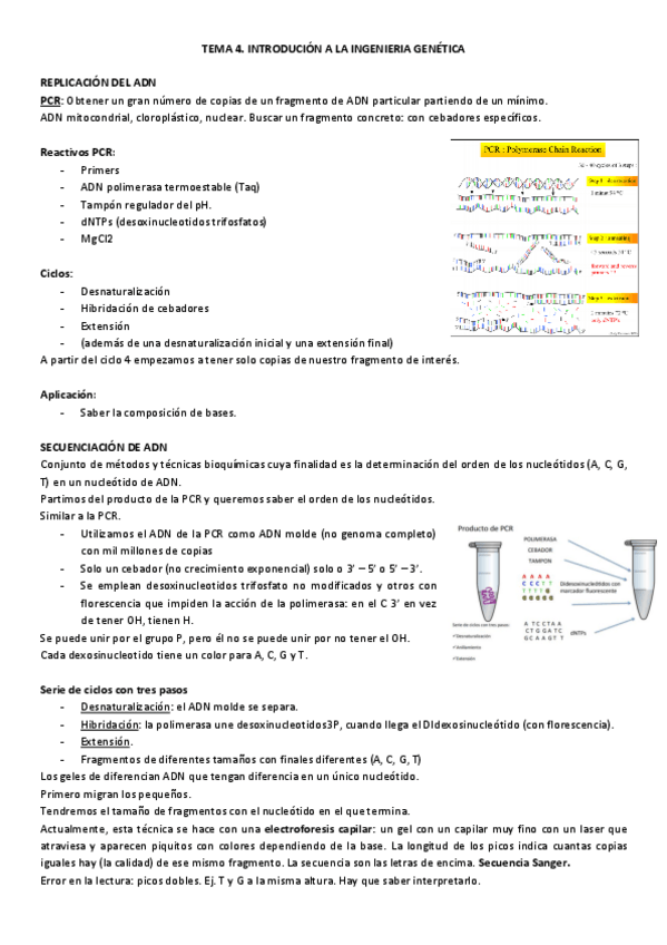 Miniatura del documento TEMA-4.pdf
