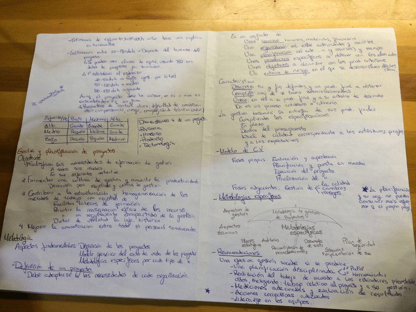 Miniatura del documento IMG_9980.JPG