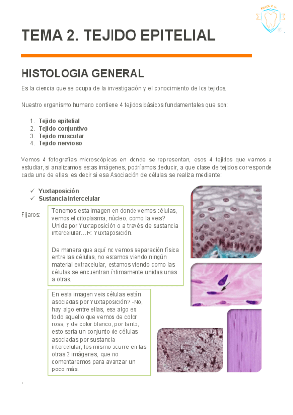 Miniatura del documento TEMA-2-T-EPITELIAL.pdf