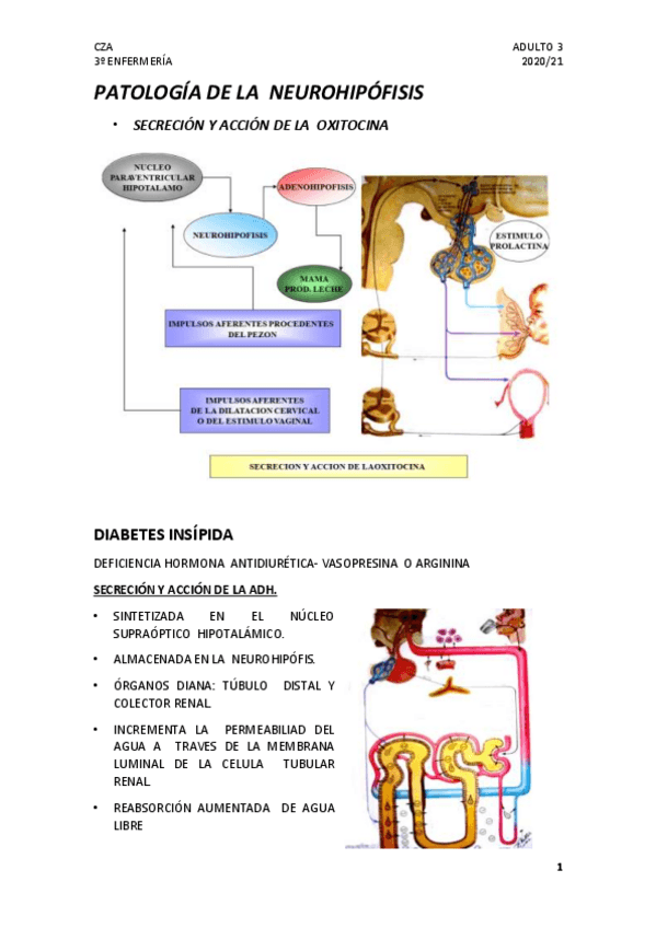 Miniatura del documento 1.pdf