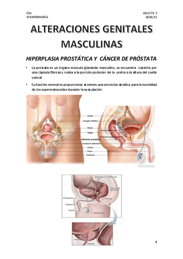 Miniatura del documento 1.pdf