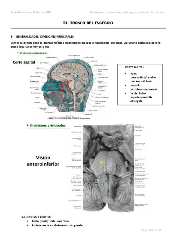 Miniatura del documento T3.pdf