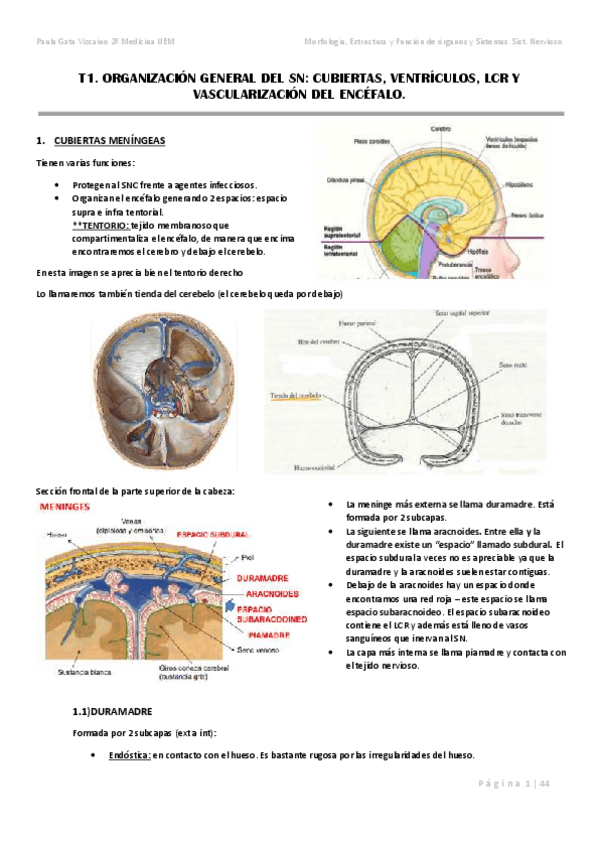 Miniatura del documento T1.pdf