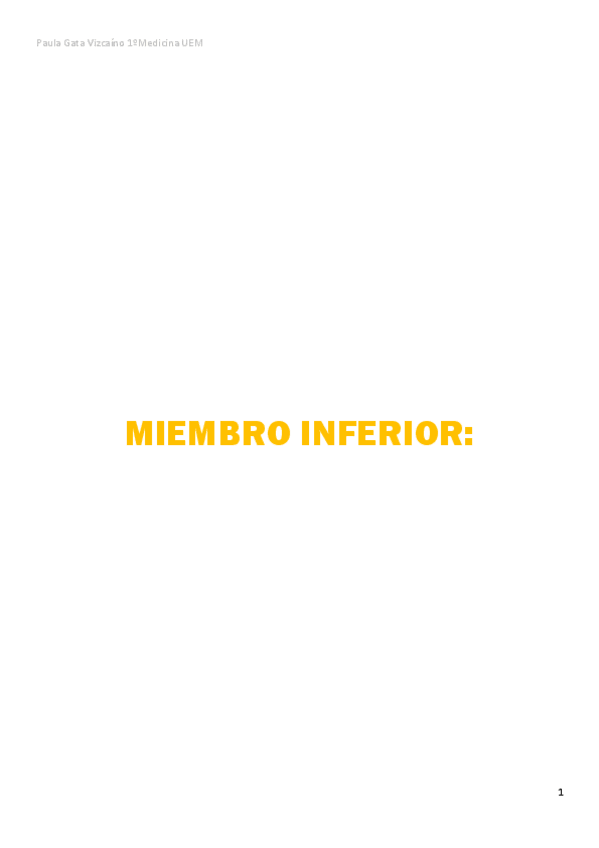 Miniatura del documento MIEMBRO-INFERIOR.pdf