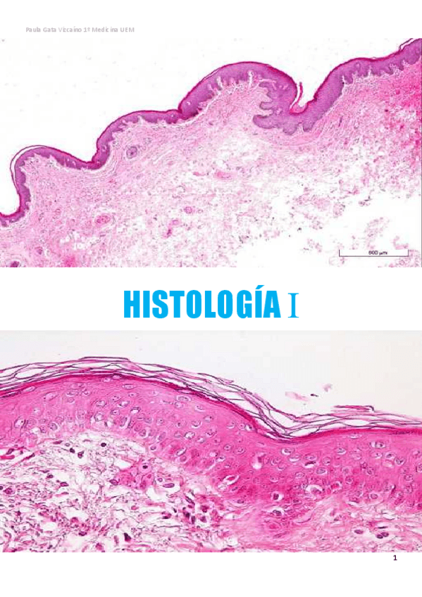 Miniatura del documento APUNTES-HISTOLOGIA-I.pdf