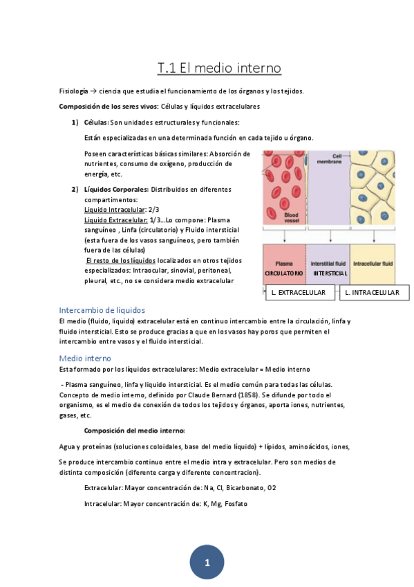 Miniatura del documento 1o-examen-fisio.pdf