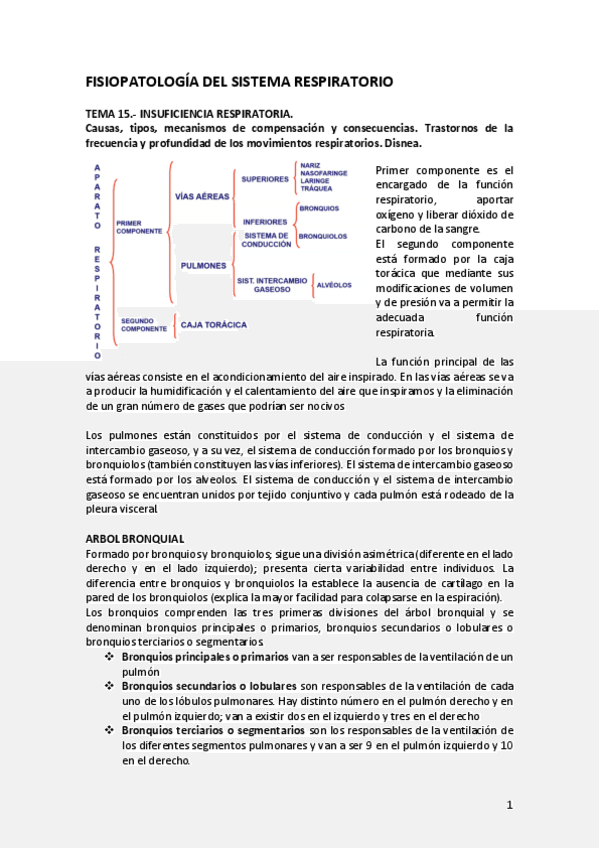 Miniatura del documento FISIOPATOLOGIA-DEL-SISTEMA-RESPIRATORIO.pdf
