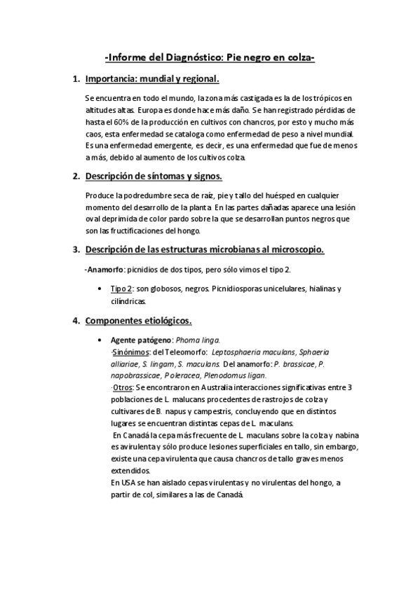Miniatura del documento Informe-del-Diagnostico-pie-negro-en-colza.pdf
