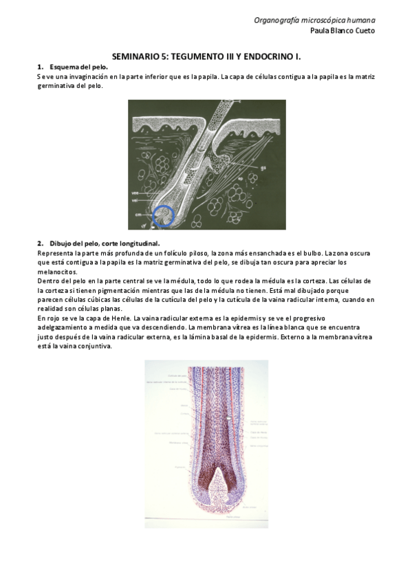 Miniatura del documento SEMINARIO-5.pdf
