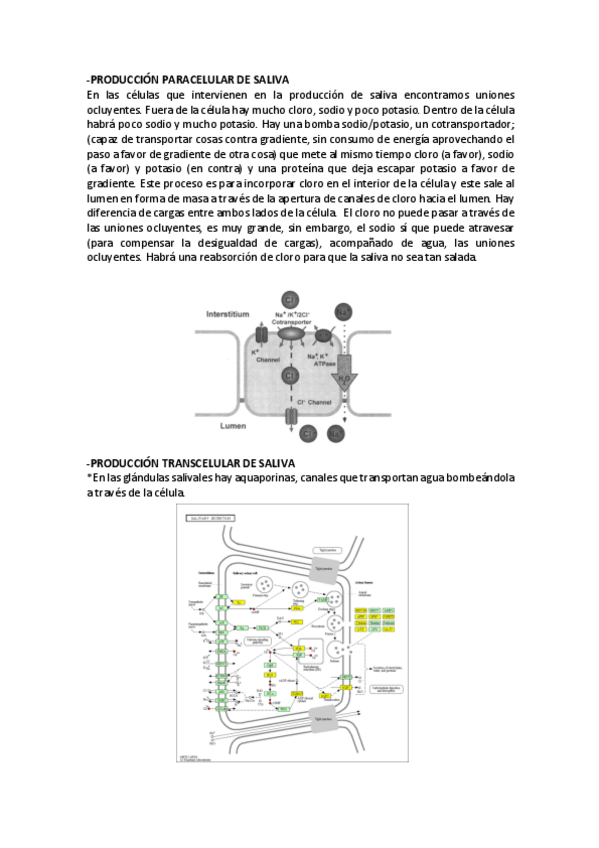 Miniatura del documento SEMINARIO-2-BIOLOGIA.pdf