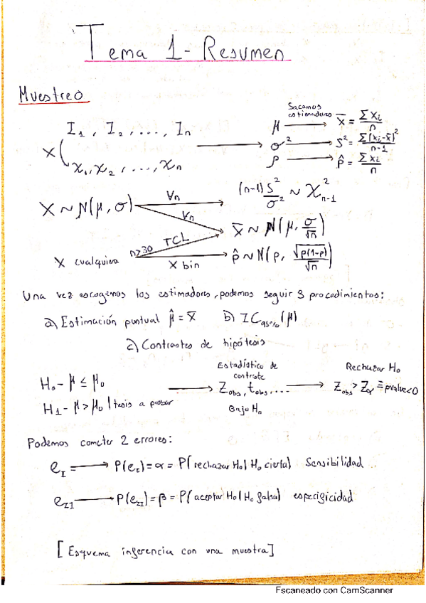 Miniatura del documento Resumen.pdf