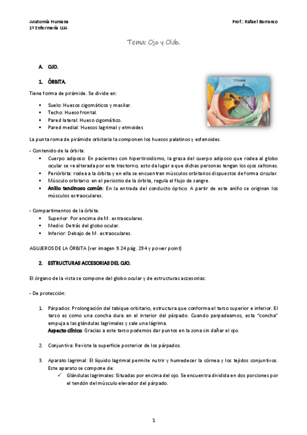 Miniatura del documento Tema-Ojo-y-Oido.pdf