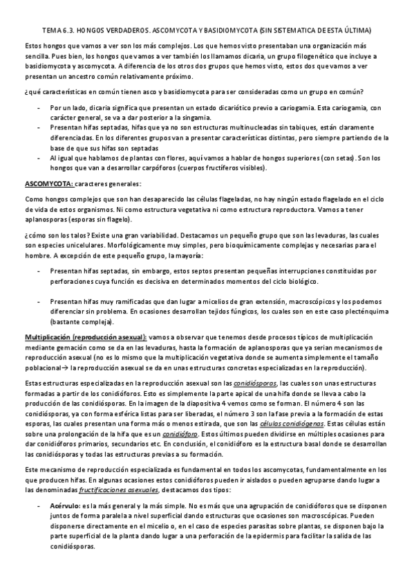 Miniatura del documento TEMA-6.pdf