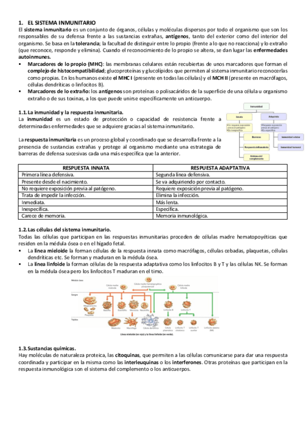 Miniatura del documento 18.pdf