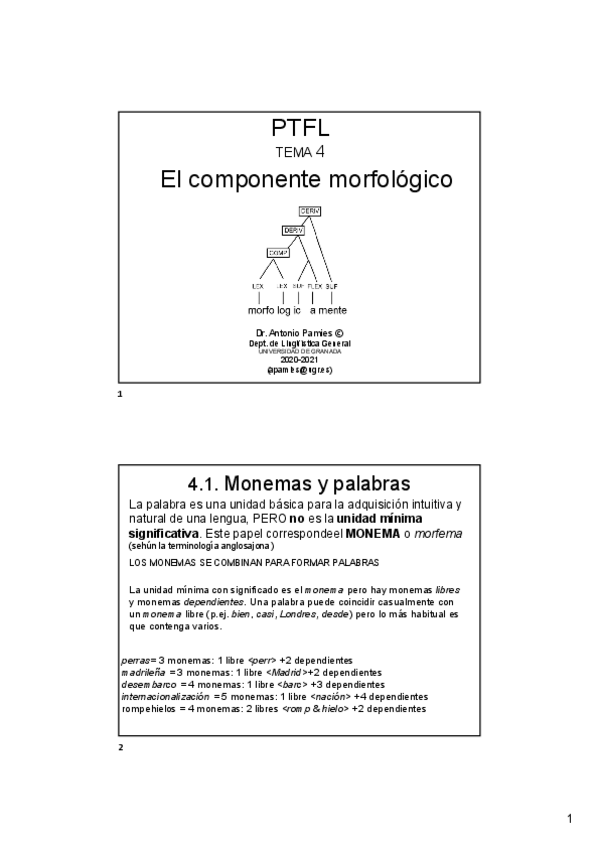 Miniatura del documento Tema-4-Morfologia.pdf