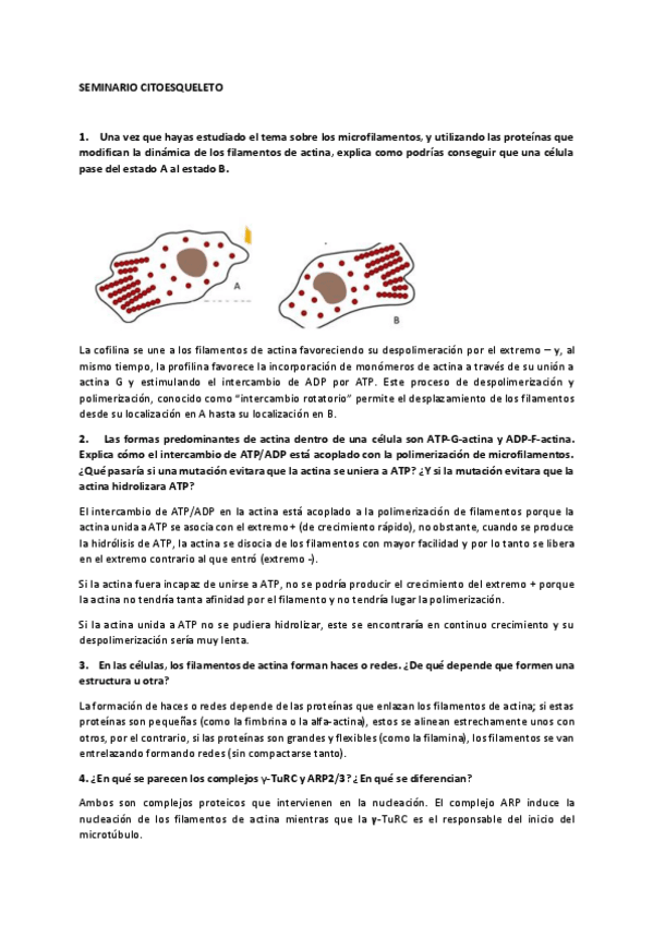 Miniatura del documento Seminario-9Jorge-Abuin-Pimentel.pdf