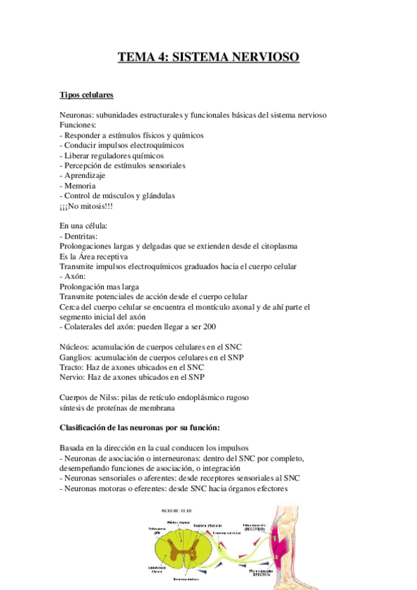 Miniatura del documento TEMA-4.docx