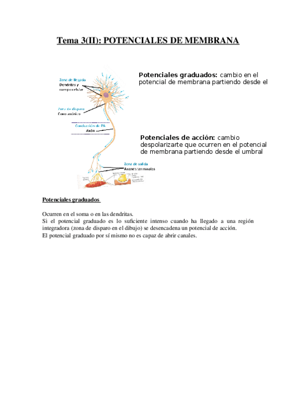 Miniatura del documento Tema-3II.docx