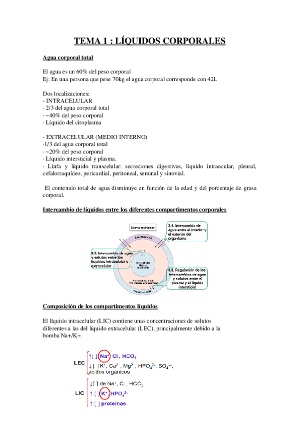 Miniatura del documento TEMA-1.docx