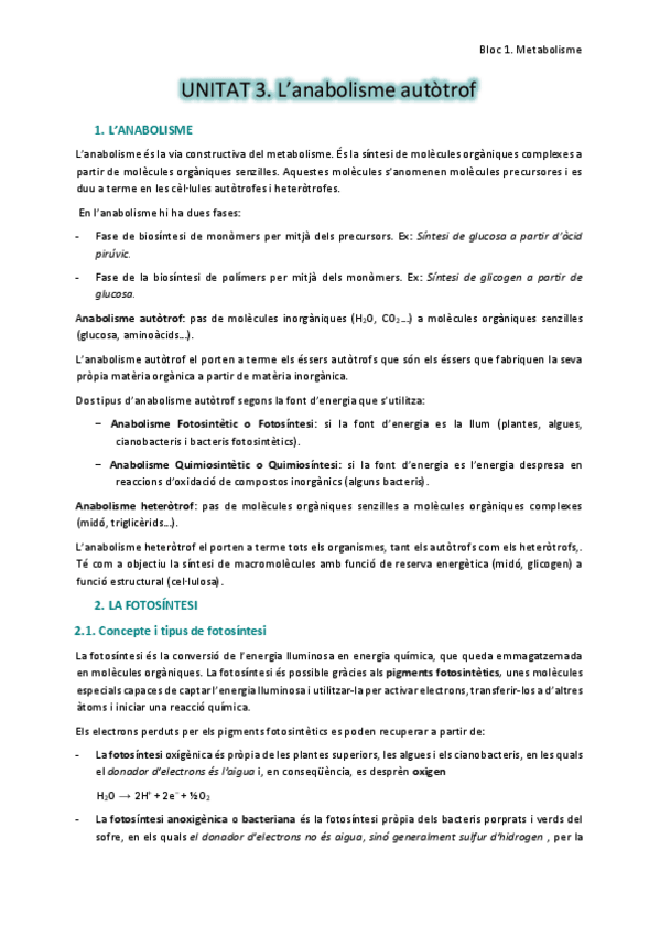Miniatura del documento 3. L'anabolisme autòtrof