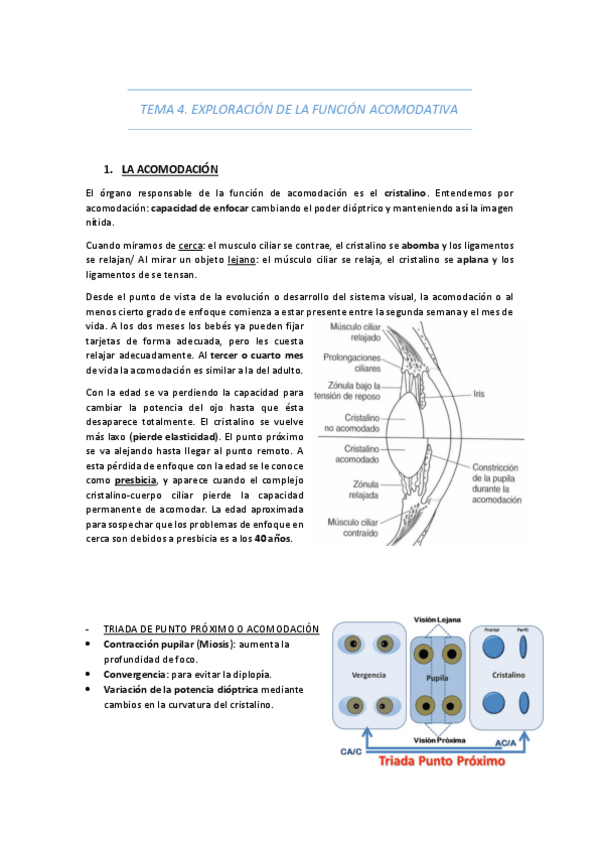 Miniatura del documento TEMA-4-EXPLORACION-DE-LA-FUNCION-ACOMODATIVA.pdf