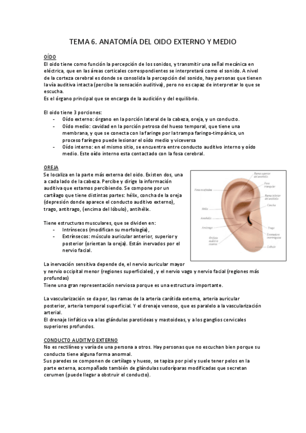 Miniatura del documento tema-6.pdf