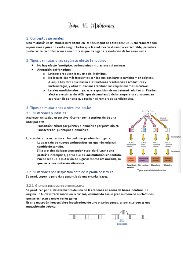 Miniatura del documento Tema-16.pdf