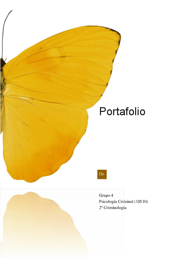 Miniatura del documento PORTAFOLIO.pdf