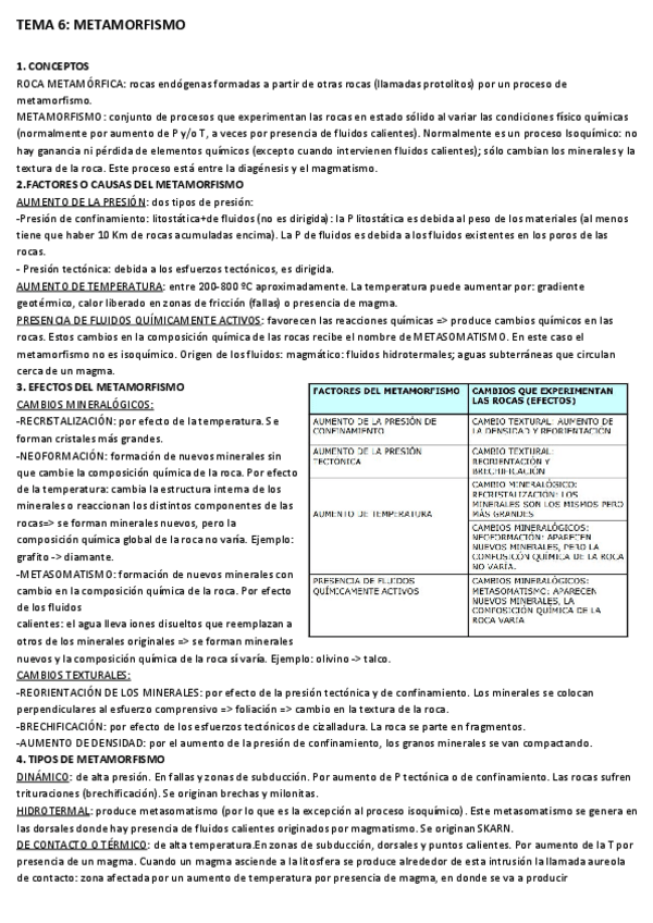 Miniatura del documento TEMA-6-METAMORFISMO.pdf