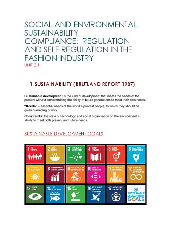 Miniatura del documento Social and environmental sustainability.pdf