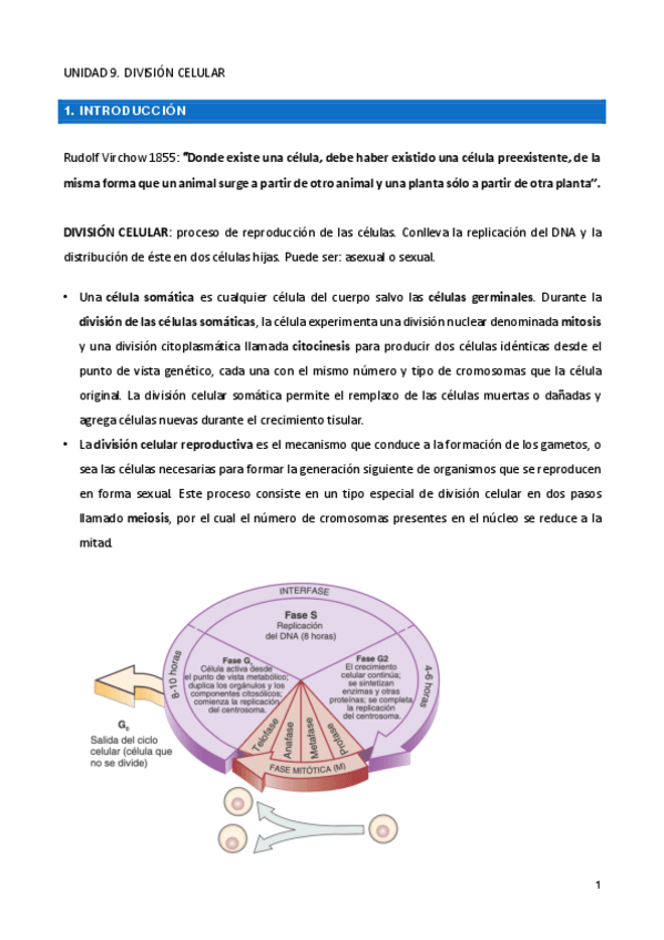 Miniatura del documento UNIDAD-9.pdf