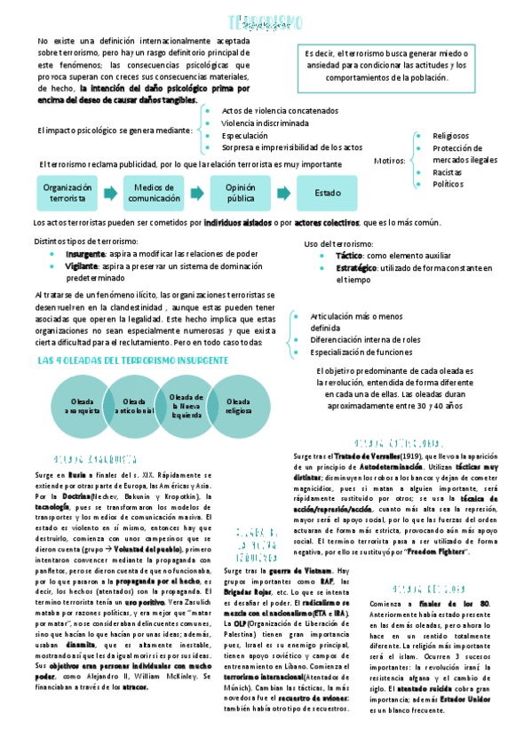 Miniatura del documento TERRORISMO.pdf