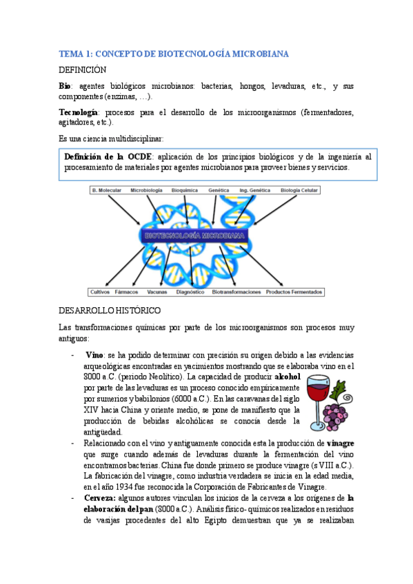 Miniatura del documento Introduccion-biotecnologia-microbiana-.pdf