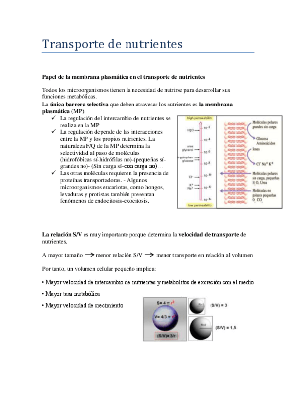 Miniatura del documento Transporte-de-nutrientes-.pdf