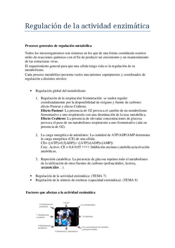 Miniatura del documento Regulacion-de-la-actividad-encimatica-.pdf