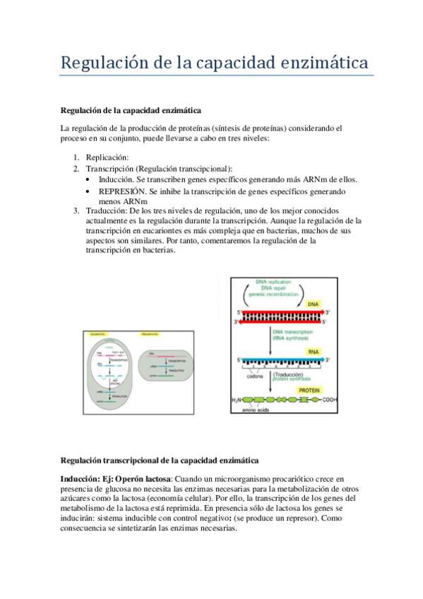 Miniatura del documento Regulacion-de-la-capacidad-encimatica-.pdf