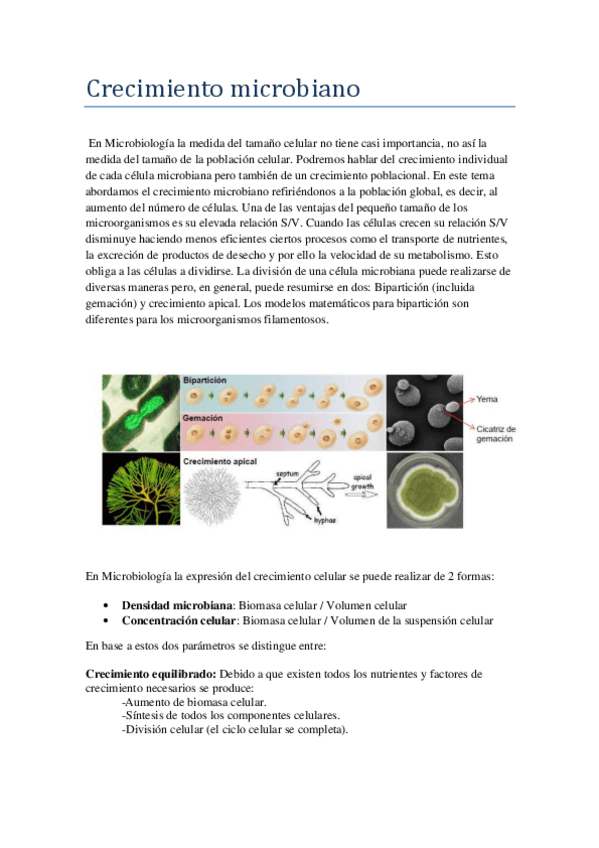 Miniatura del documento Crecimiento-microbiano-.pdf