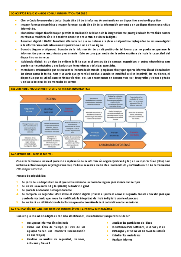 Miniatura del documento T16-Informatica-forense.pdf