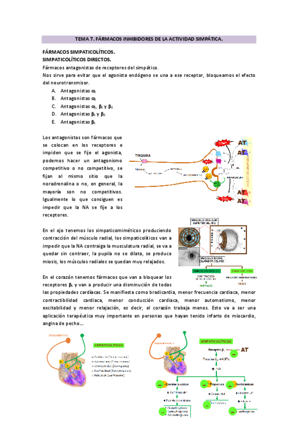 Miniatura del documento TEMA-7.pdf