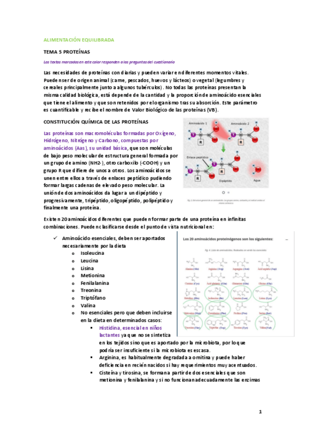 Miniatura del documento Alimentacion-Equilibrada-T6.pdf